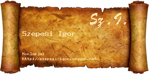 Szepesi Igor névjegykártya